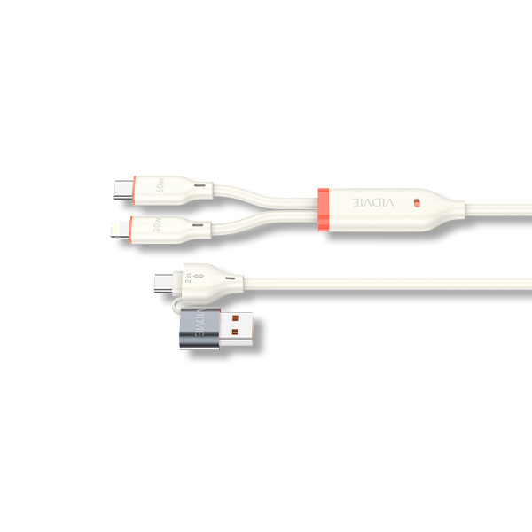 2 in 2 Multi-functional Charging Cable